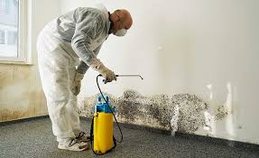 Best Mold Remediation for Healthcare Facilities  in Montgomery, GA