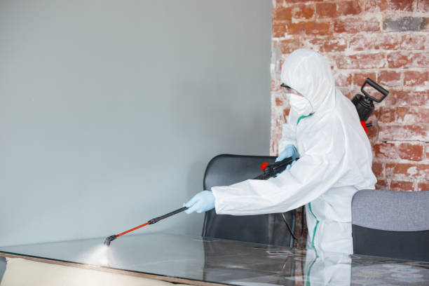 Why You Should Choose Our Mold Remediation Services in Montgomery, GA