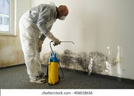 Best Commercial Mold Inspection  in Montgomery, GA